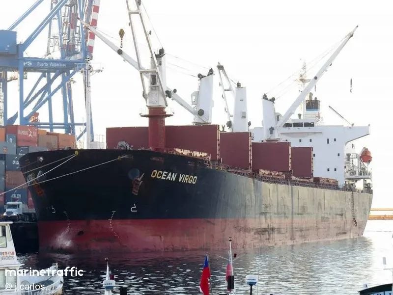 AM OCEAN SILVER Bulk Carrier